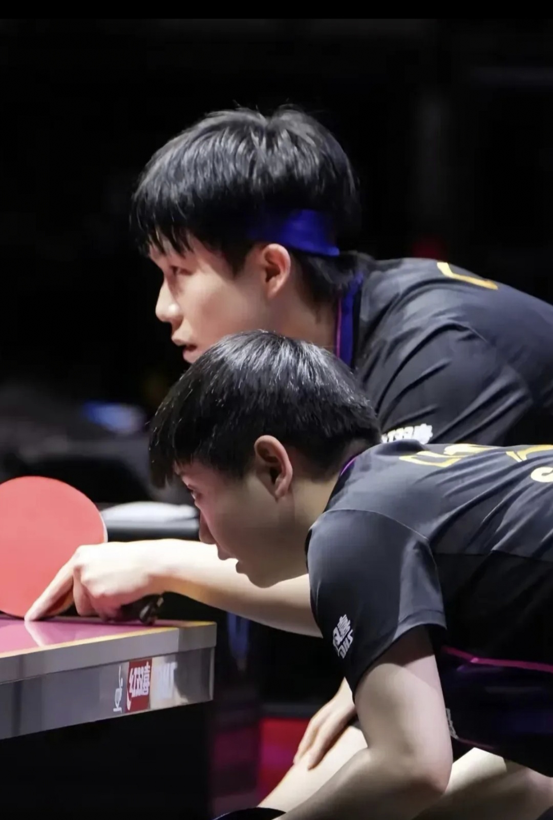 lol比赛投注 -2019年总冠军多伦多猛龙队阵容